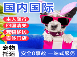 厦门航空货运国际宠物托运 【国